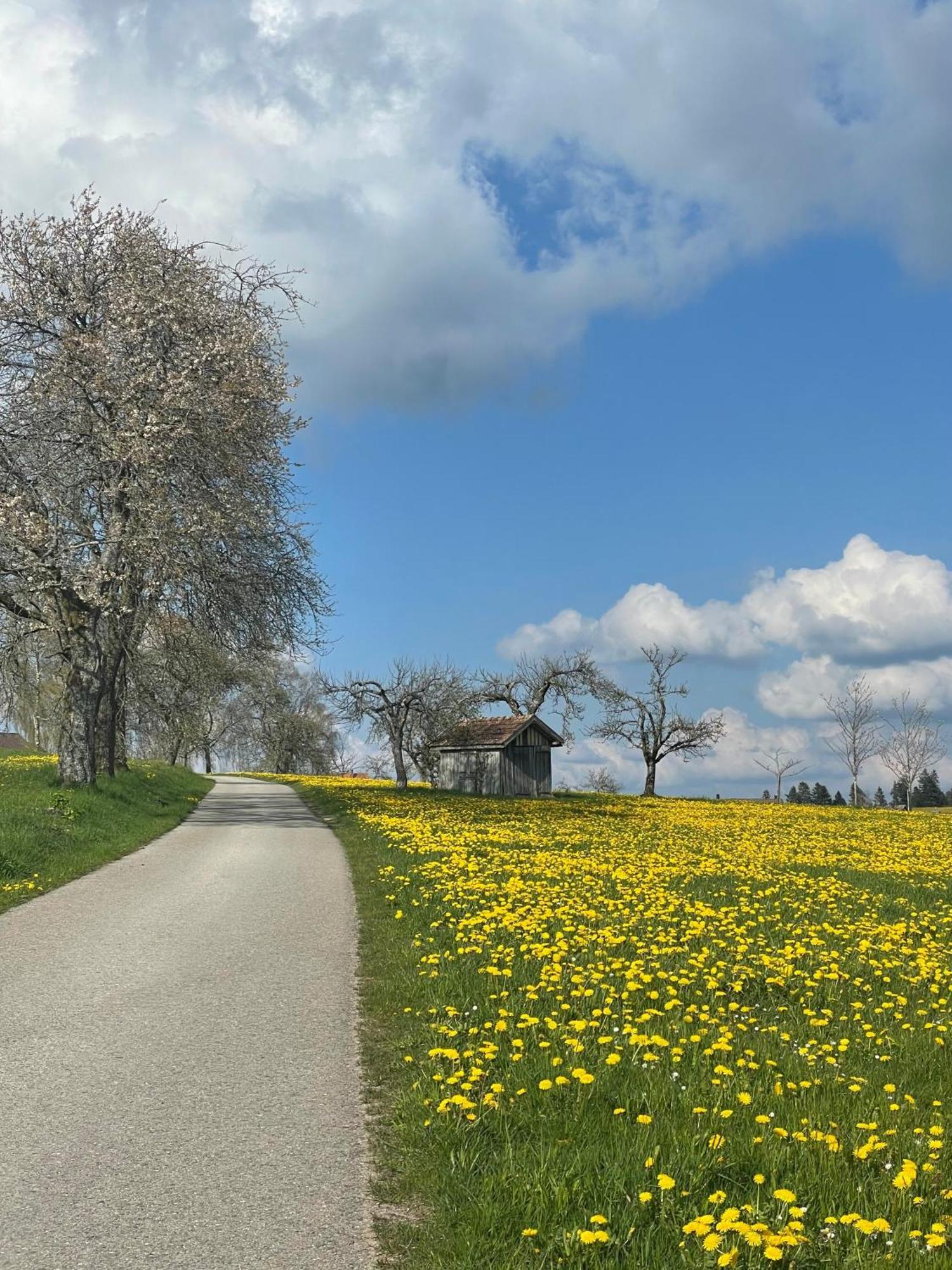 Hotel Krone Igelsberg ฟรอยเดนชตัดท์ ภายนอก รูปภาพ